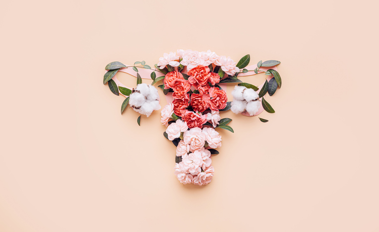 conceptual abstract image of the female reproductive system. Female uterus with vagina and ovaries